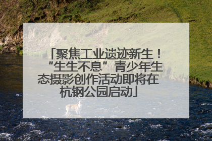 聚焦工业遗迹新生！“生生不息”青少年生态摄影创作活动即将在杭钢公园启动