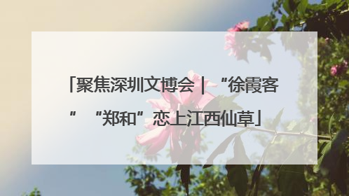 聚焦深圳文博会｜“徐霞客”“郑和”恋上江西仙草