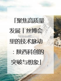聚焦高质量发展丨丝博会里的技术脉动：陕西科创的突破与想象