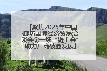 聚焦2025年中国·廊坊国际经济贸易洽谈会③一场“链主会” 助力厂商破圈发展