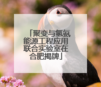 聚变与氢氨能源工程应用联合实验室在合肥揭牌