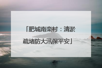 肥城南栾村：清淤疏堵防大汛保平安