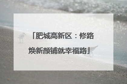 肥城高新区：修路焕新颜铺就幸福路
