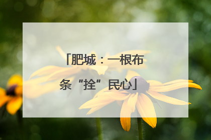 肥城：一根布条“拴”民心