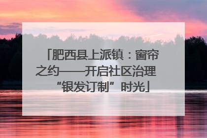 肥西县上派镇：窗帘之约——开启社区治理“银发订制”时光