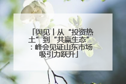 舆见丨从“投资热土”到“共赢生态”：峰会见证山东市场吸引力跃升