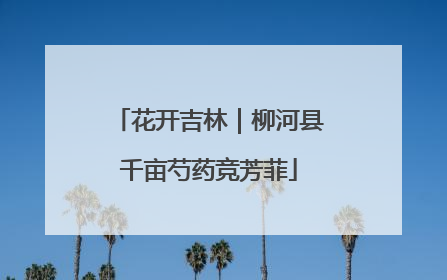 花开吉林｜柳河县千亩芍药竞芳菲