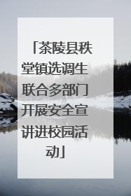 茶陵县秩堂镇选调生联合多部门开展安全宣讲进校园活动