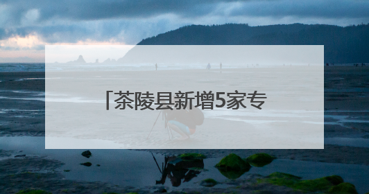 茶陵县新增5家专精特新中小企业