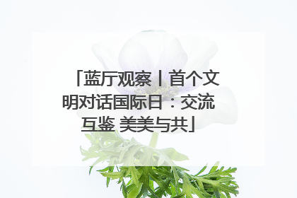 蓝厅观察丨首个文明对话国际日：交流互鉴 美美与共