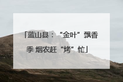 蓝山县：“金叶”飘香季 烟农赶“烤”忙