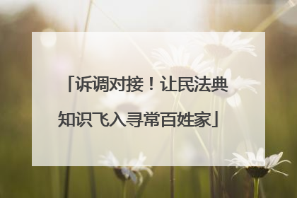 诉调对接！让民法典知识飞入寻常百姓家