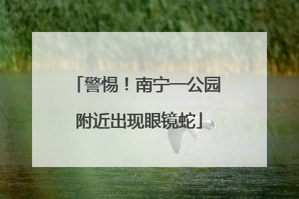 警惕！南宁一公园附近出现眼镜蛇