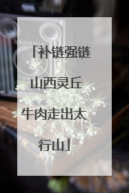 补链强链 山西灵丘牛肉走出太行山
