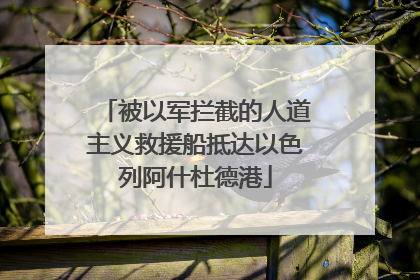 被以军拦截的人道主义救援船抵达以色列阿什杜德港