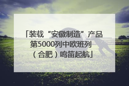 装载“安徽制造”产品 第5000列中欧班列（合肥）鸣笛起航