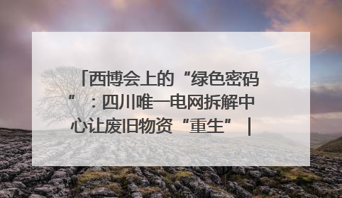 西博会上的“绿色密码”：四川唯一电网拆解中心让废旧物资“重生”｜西博寻“新”记