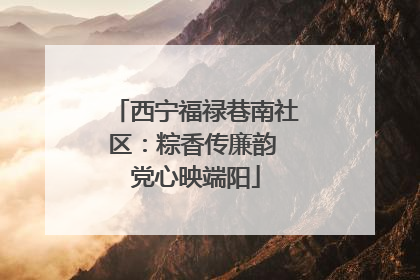 西宁福禄巷南社区：粽香传廉韵 党心映端阳