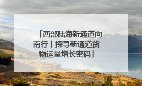 西部陆海新通道向南行丨探寻新通道货物运量增长密码