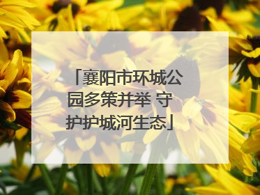 襄阳市环城公园多策并举 守护护城河生态