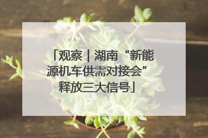 观察｜湖南“新能源机车供需对接会”释放三大信号