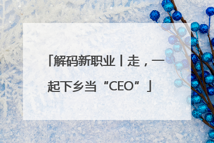 解码新职业丨走，一起下乡当“CEO”