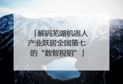 解码芜湖机器人产业跃居全国第七的“数智税钥”