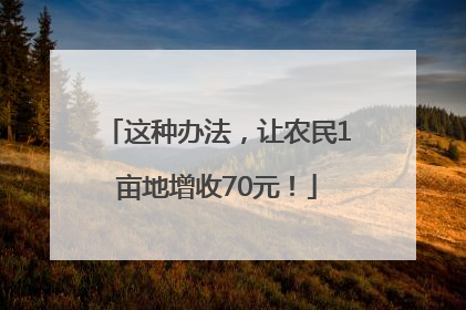 这种办法，让农民1亩地增收70元！