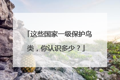 这些国家一级保护鸟类，你认识多少？