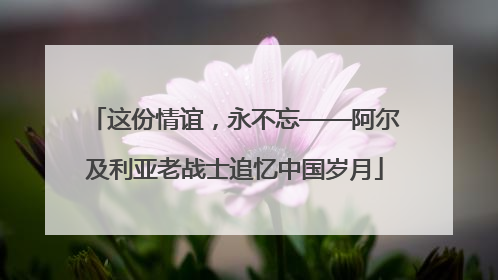 这份情谊，永不忘——阿尔及利亚老战士追忆中国岁月
