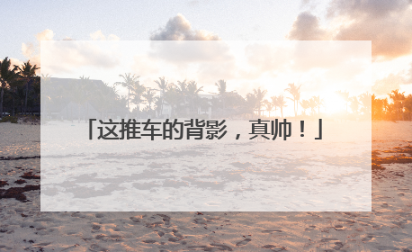 这推车的背影，真帅！