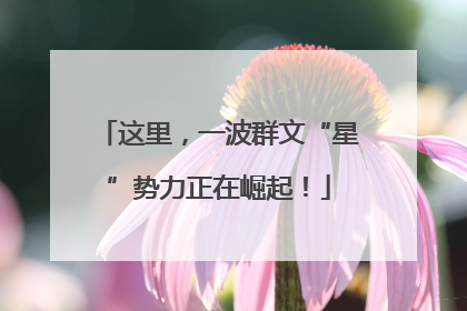 这里，一波群文“星”势力正在崛起！