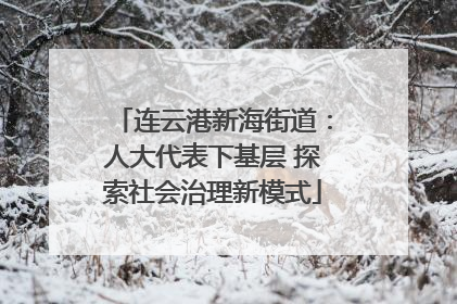 连云港新海街道：人大代表下基层 探索社会治理新模式