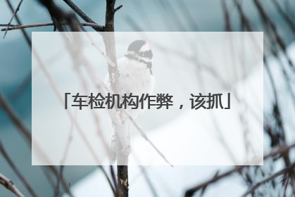 车检机构作弊，该抓