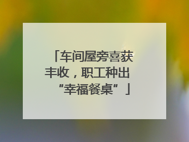 车间屋旁喜获丰收，职工种出“幸福餐桌”