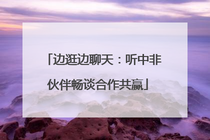 边逛边聊天：听中非伙伴畅谈合作共赢
