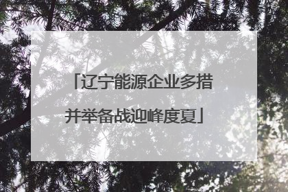 辽宁能源企业多措并举备战迎峰度夏