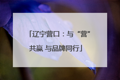 辽宁营口：与“营”共赢 与品牌同行