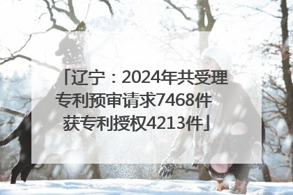辽宁：2024年共受理专利预审请求7468件 获专利授权4213件