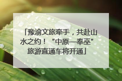豫渝文旅牵手，共赴山水之约！“中原—奉巫”旅游直通车将开通
