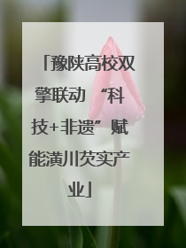 豫陕高校双擎联动 “科技+非遗”赋能潢川芡实产业