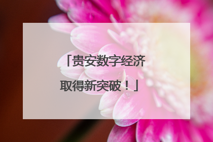 贵安数字经济取得新突破！