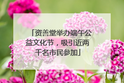 资善堂举办端午公益文化节，吸引近两千名市民参加