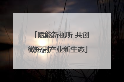 赋能新视听 共创微短剧产业新生态