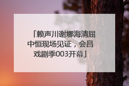 赖声川谢娜海清屈中恒现场见证，会昌戏剧季003开幕