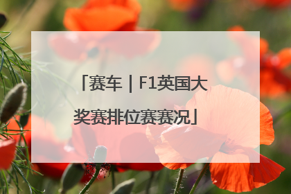 赛车｜F1英国大奖赛排位赛赛况