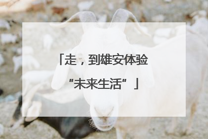 走，到雄安体验“未来生活”