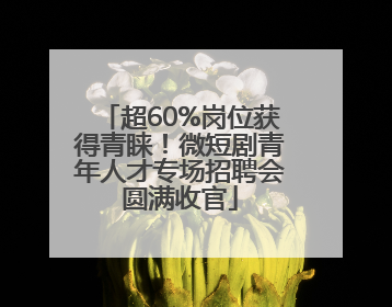 超60%岗位获得青睐！微短剧青年人才专场招聘会圆满收官