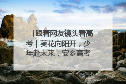 跟着网友镜头看高考｜葵花向阳开，少年赴未来，安乡高考首日的希望图景