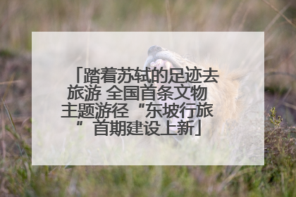 踏着苏轼的足迹去旅游 全国首条文物主题游径“东坡行旅”首期建设上新